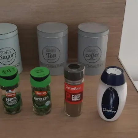 Che F3 Gauche Terrasse Jardin Barbecue Hypercentre Wifi Lejlighed *