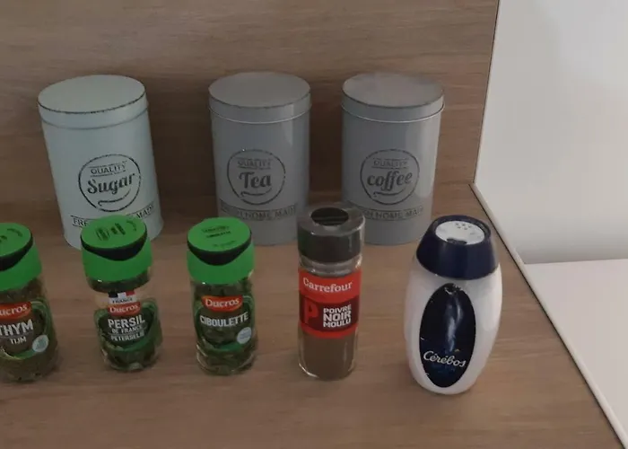 Che F3 Gauche Terrasse Jardin Barbecue Hypercentre Wifi Lejlighed *